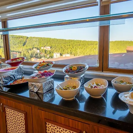 Harlek Termal Otel Wellness&Spa 4* Avdan (Eskisehir)